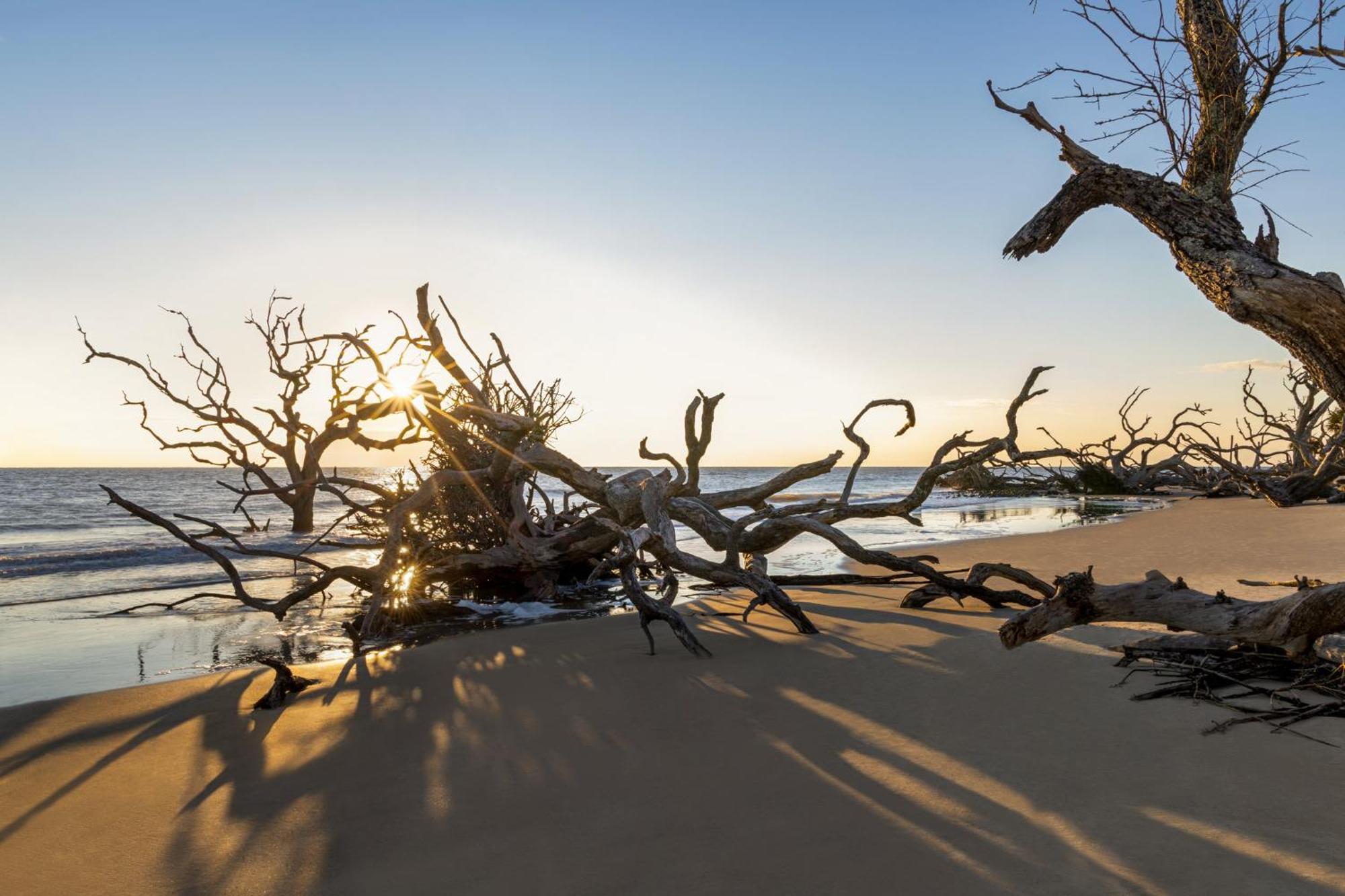 Holiday Inn Resort Jekyll Island By Ihg Exteriér fotografie