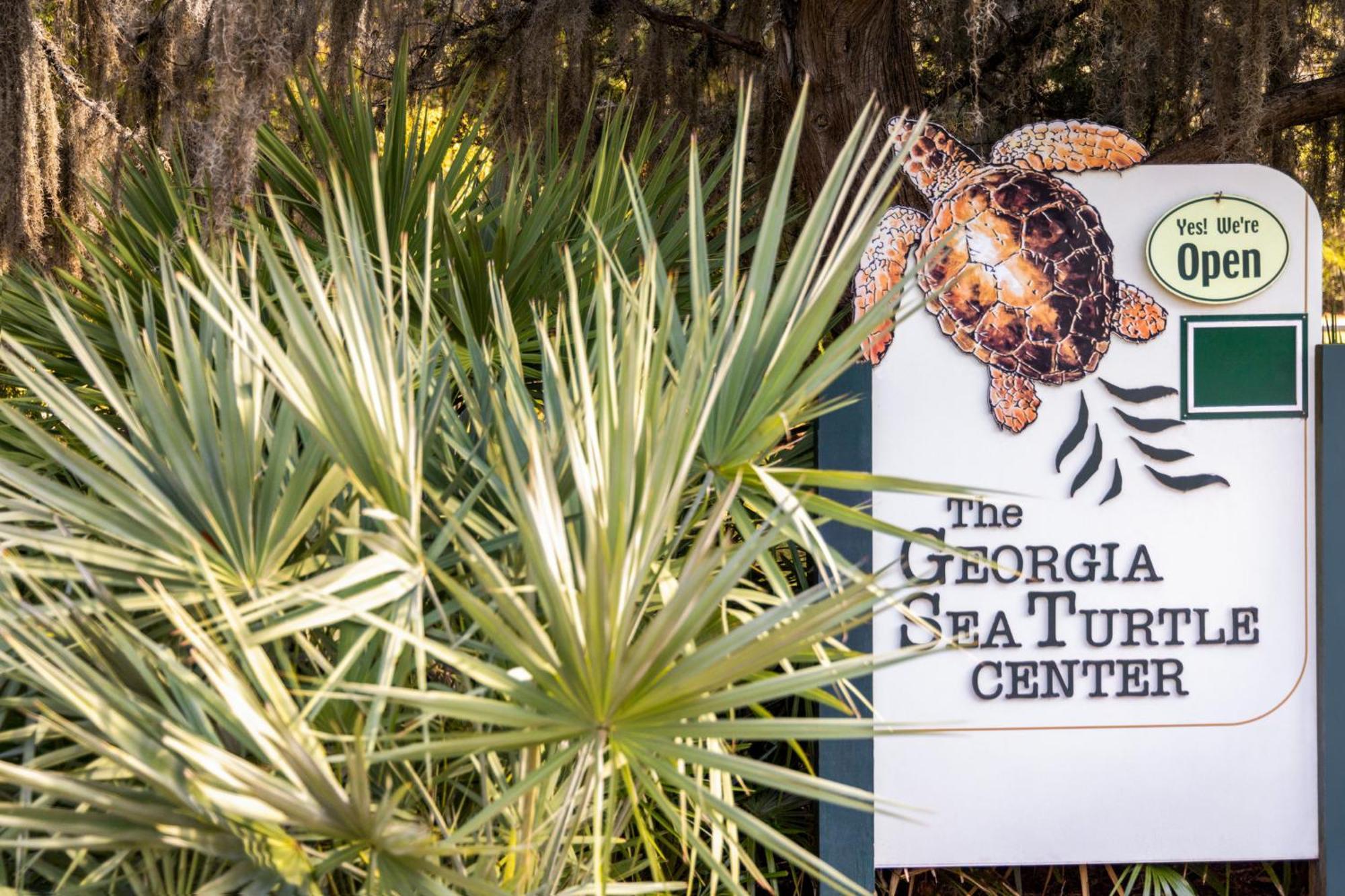 Holiday Inn Resort Jekyll Island By Ihg Exteriér fotografie