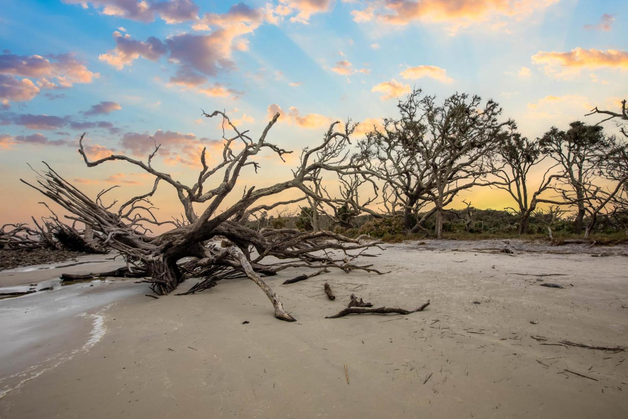 Holiday Inn Resort Jekyll Island By Ihg Exteriér fotografie